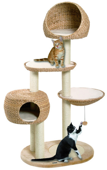 klösträd katt rea klösträd katt rea